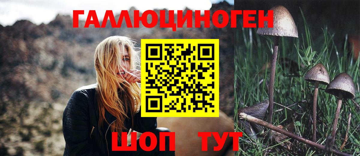 Сальск  Галлюциногенные грибы Psilocybe  Вход с VPN  Псилоцибиновые грибы Magic Shrooms 